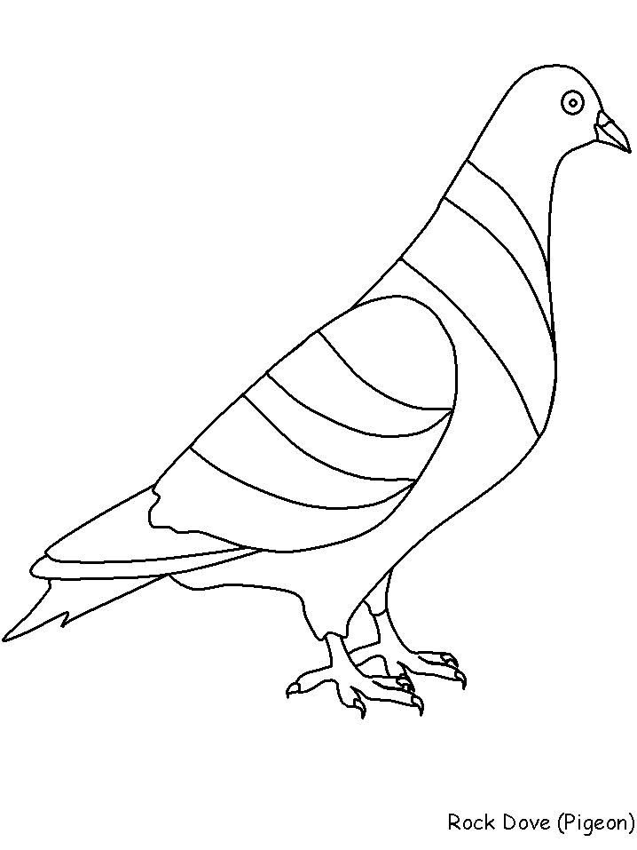Colombe en vol avec des branches d'olivier