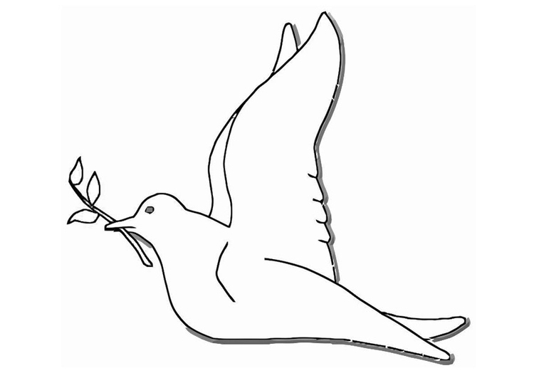Colombe en vol avec des détails floraux autour