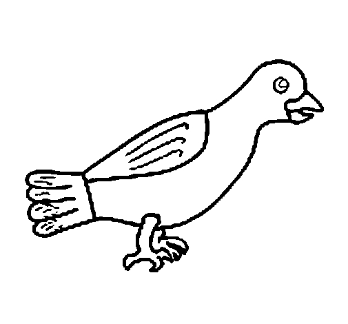 Colombe en plein vol avec des motifs floraux en arrière-plan