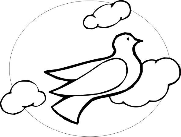 Coloriage d'une colombe en plein vol sur un fond minimaliste
