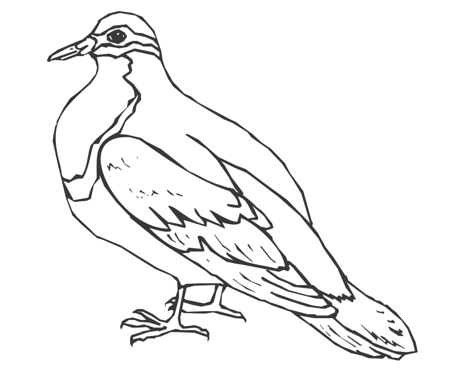 Colombe en plein vol sous un ciel paisible