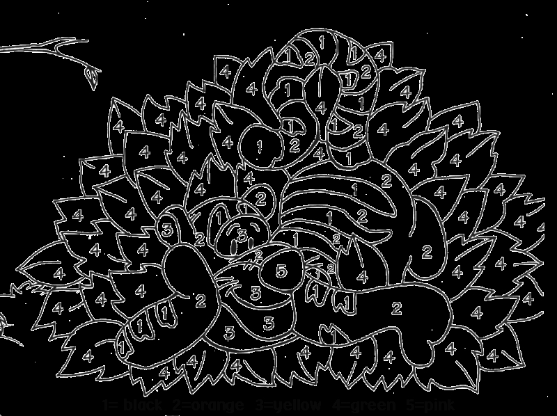Coloriage par numéros d'un paysage montagnard avec un lac et des arbres