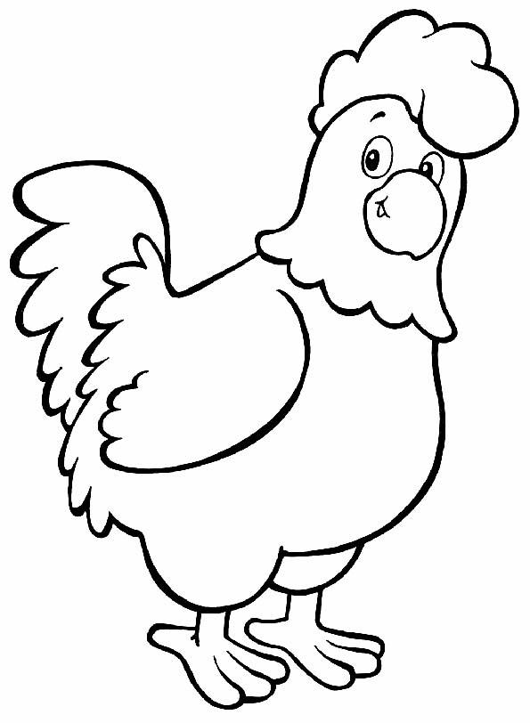 Un coq fier perchée sur une clôture en bois