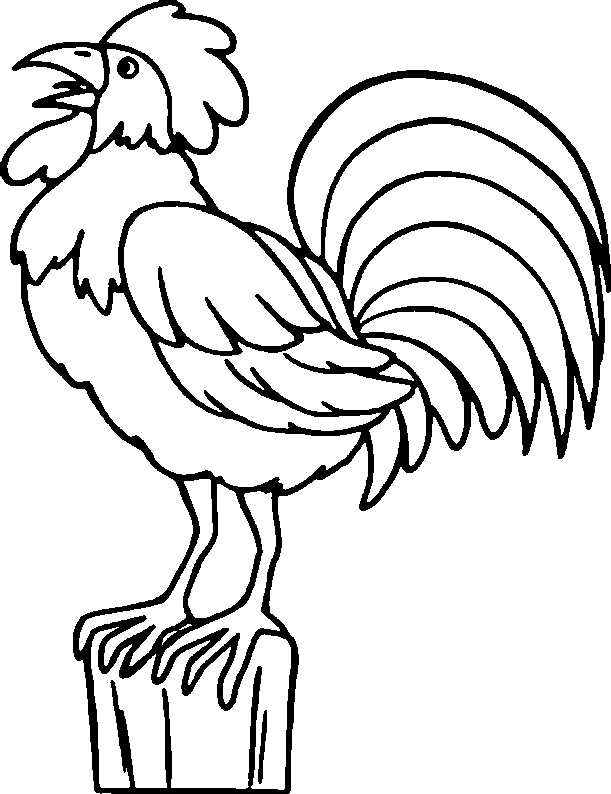 Coloriage d'un coq coloré dans un paysage rural