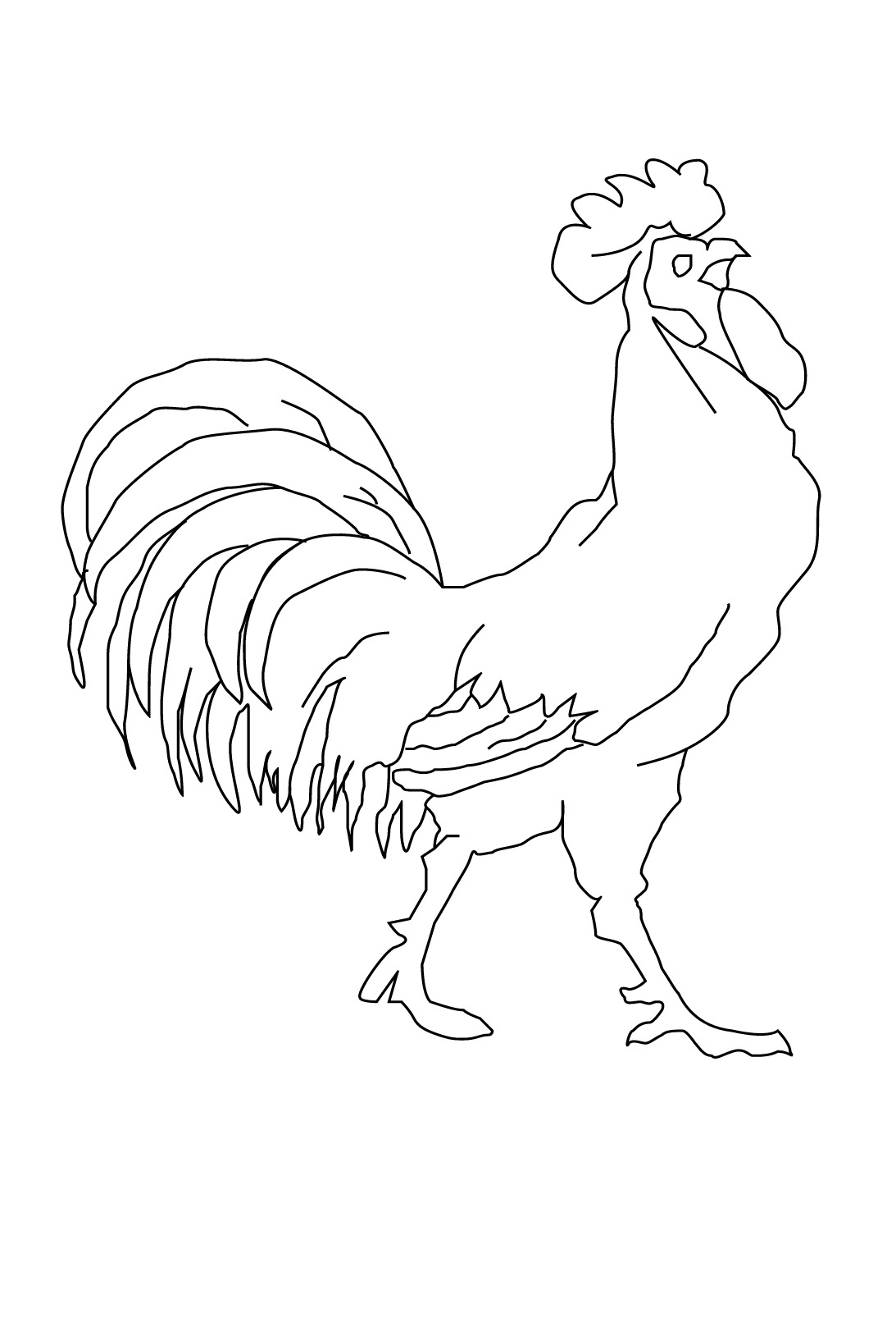 Un coq vibrant de couleurs sur un fond simple