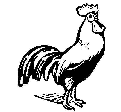 Coloriage d'un coq dans un jardin campagnard