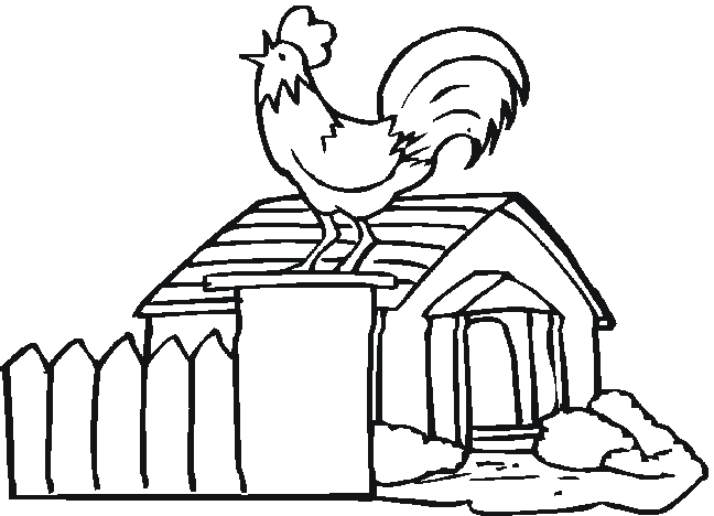 Coq coloré dans un champ avec des fleurs