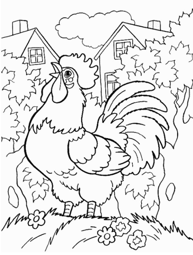 Un coq coloré en pleine parade sur un fond de nature