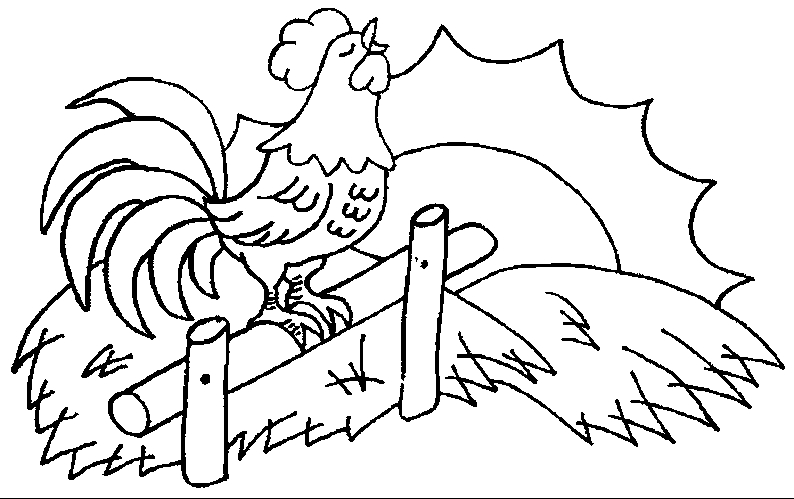 Coq coloré se pavanant sur un fond champêtre