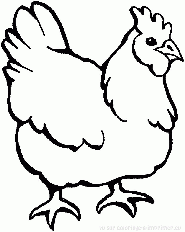 Coq coloré sur un fond paisible avec des éléments de la nature Coq coloré sur un fond paisible avec des éléments de la nature