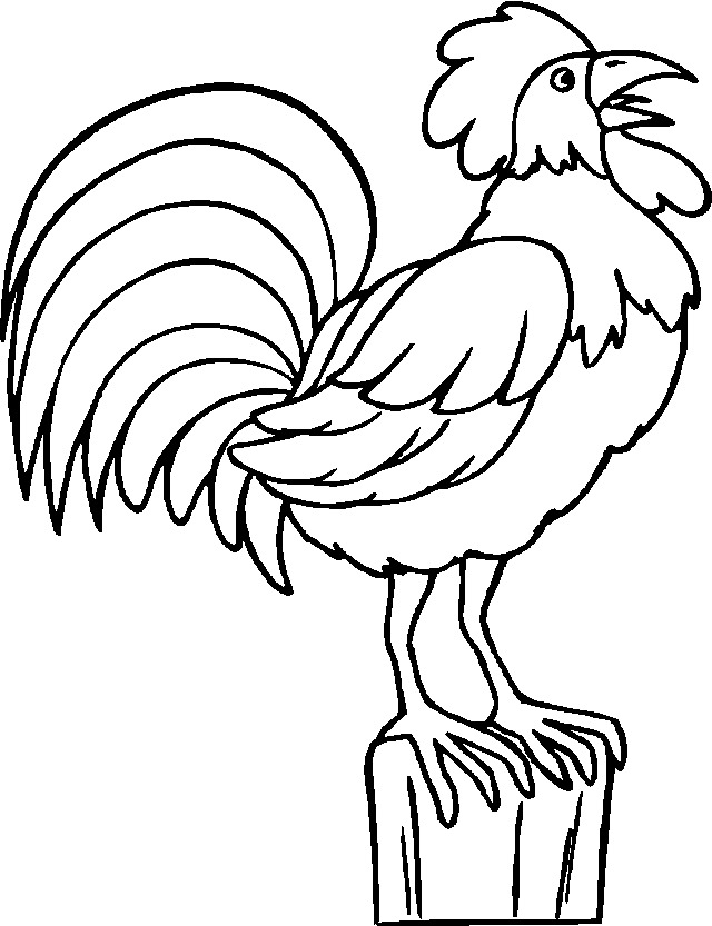 Un coq coloré se pavane dans un décor champêtre