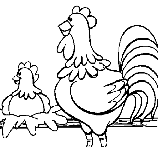Coq coloré sur fond de nature