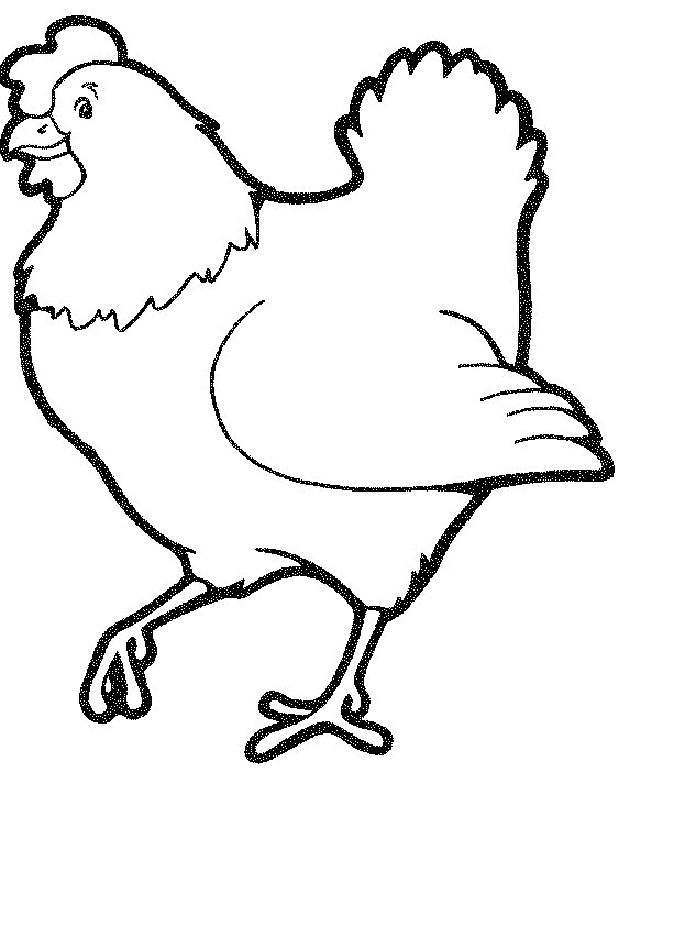 Coq coloré dans un décor champêtre