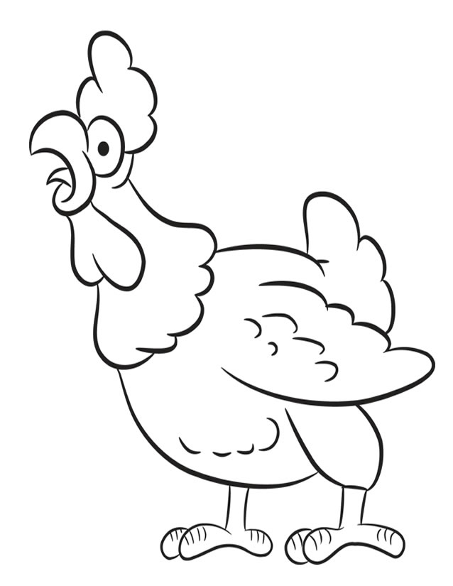 Coq coloré dans un décor de prairie ensoleillée