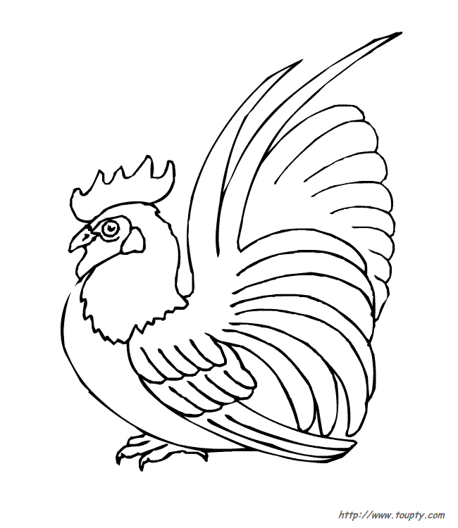 Un coq fier se pavanant dans un décor rural