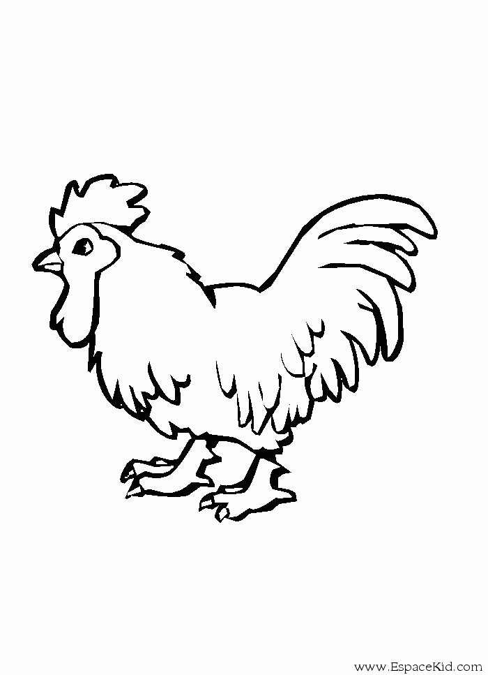 Un coq coloré se pavane au milieu d’un décor pastoral