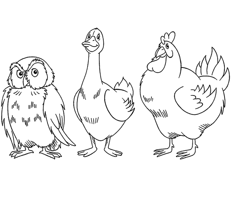 Coq coloré sur un fond simple