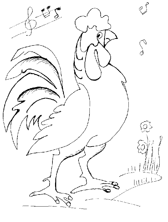 Coq en plein chant dans un décor pastoral