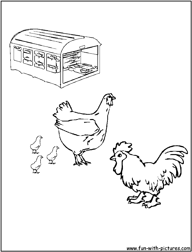 Un coq coloré se tenant fièrement sur un terrain herbeux