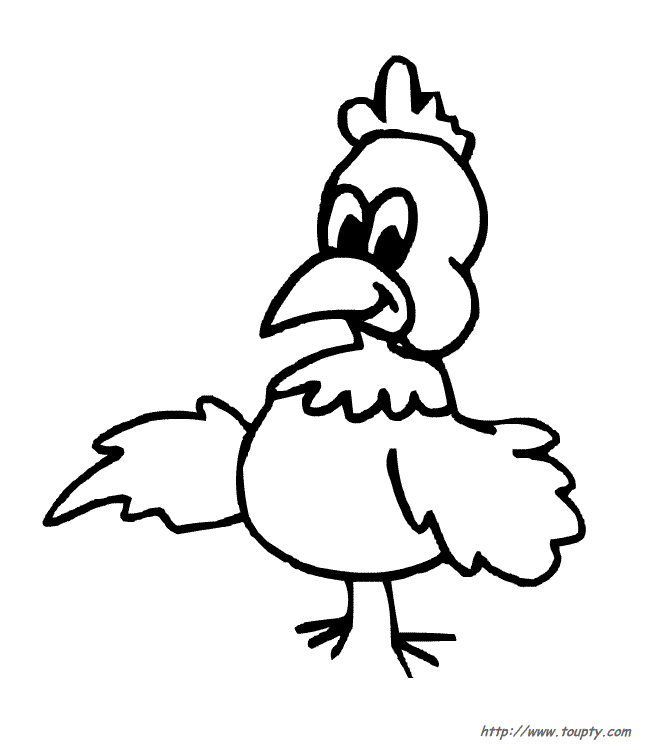 Coq coloré se pavanant dans un décor pastoral