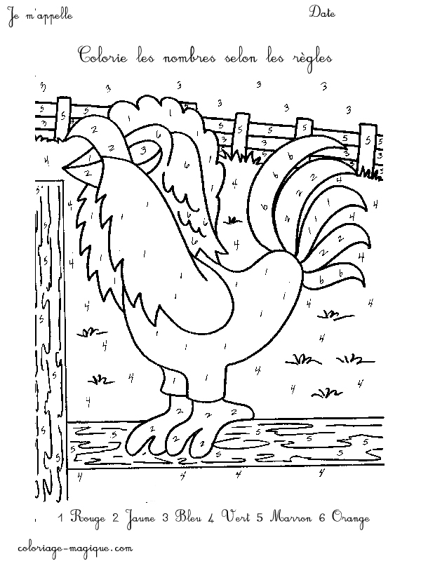 Coq coloré dans un paysage paisible