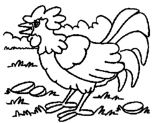 Coloriage d'un coq sur un fond de nature