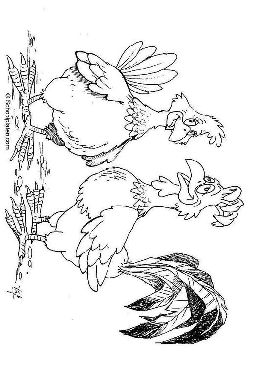 Un coq coloré sur un fond simple, prêt à être mis en couleur