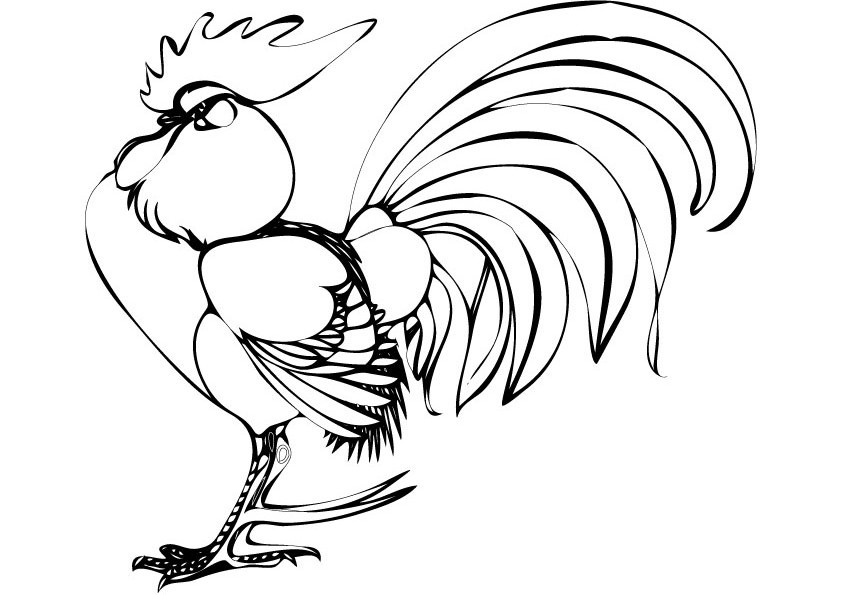 Coq en train de picorer dans un jardin verdoyant