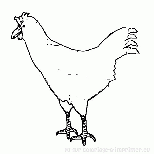 Un coq coloré sur un fond simple et accueillant Un coq coloré sur un fond simple et accueillant
