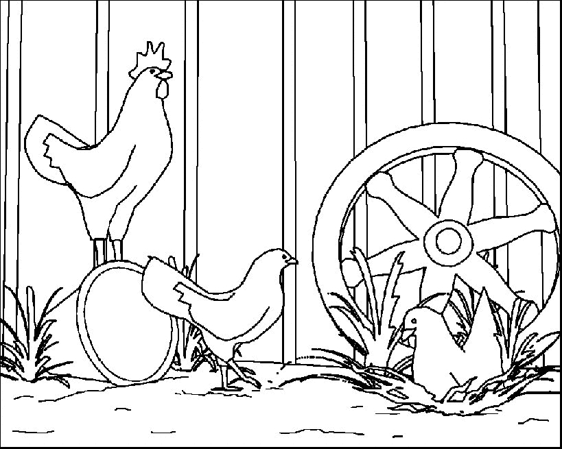 Un coq coloré se pavane dans un champ de fleurs