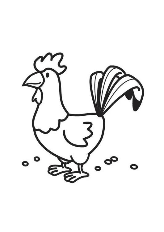Coq coloré sur un fond naturel avec des éléments de décoration
