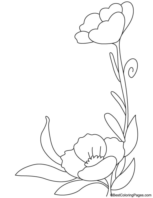 Coloriage d'un coquelicot en pleine floraison