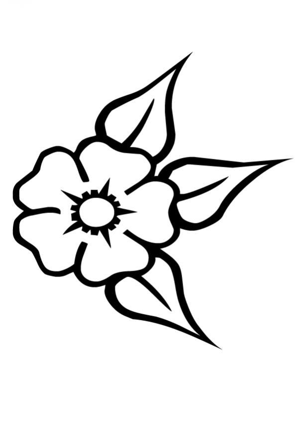Coloriage d'un coquelicot épanoui sur fond de feuillage