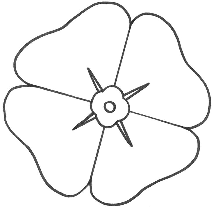Coloriage d'un coquelicot en fleur sur fond de feuillage