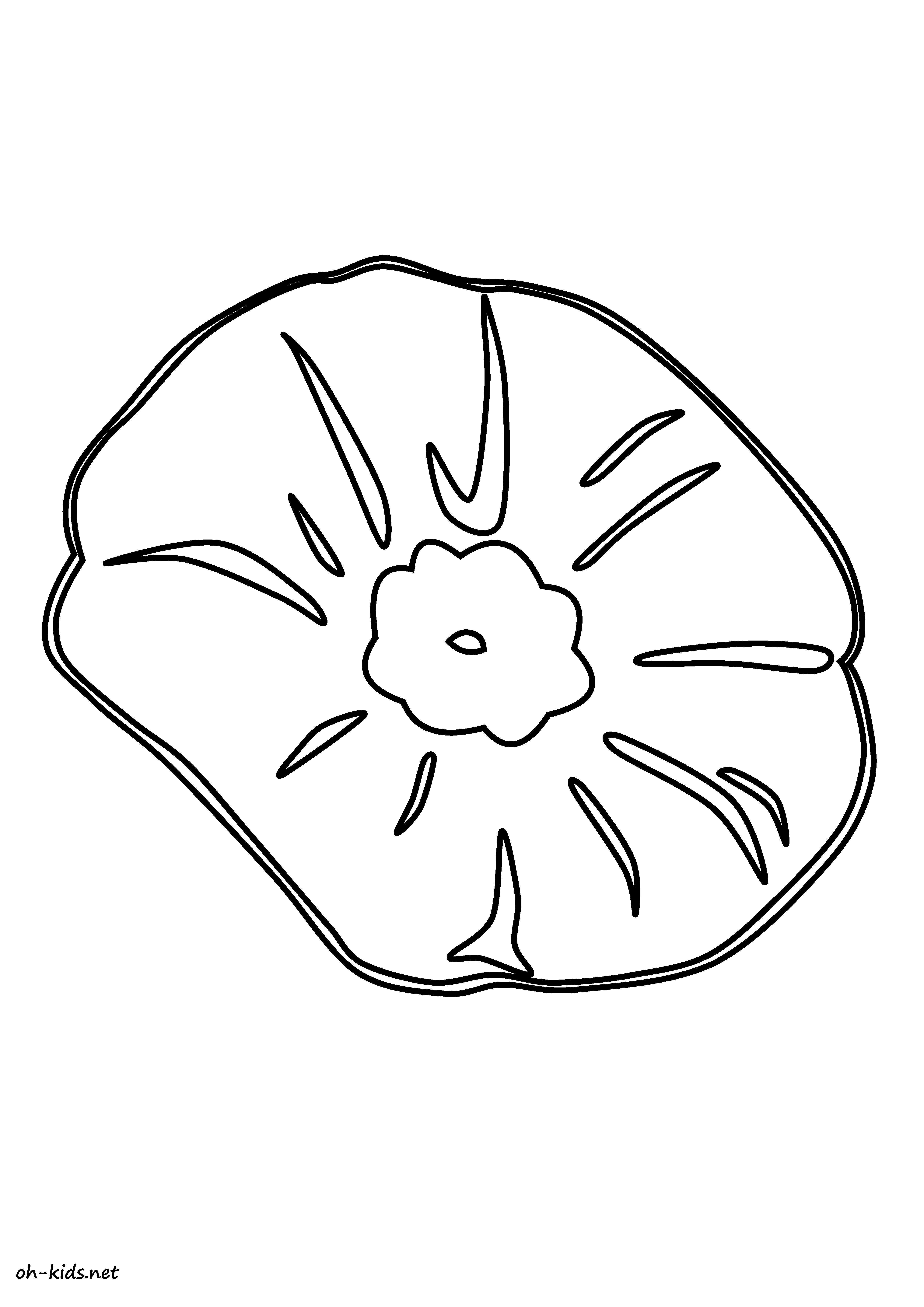 Coloriage d'un coquelicot en fleurs avec des feuilles détaillées