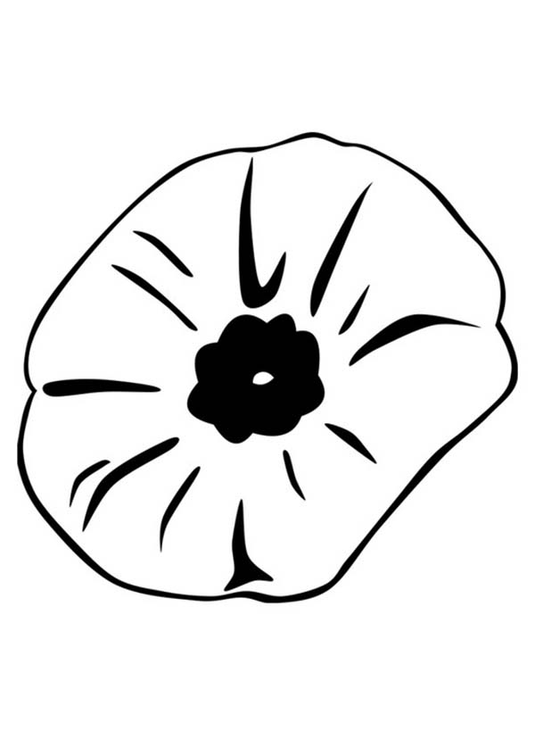 Coloriage de coquelicot avec tige et feuilles