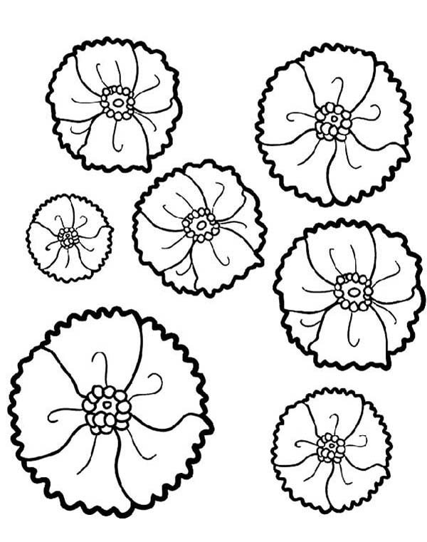 Coloriage de coquelicot avec tige et feuilles en arrière-plan