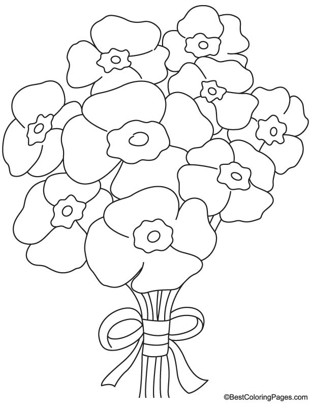 Coloriage d'un coquelicot en pleine floraison au milieu de feuilles
