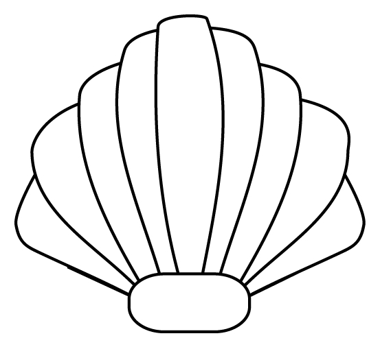 Coloriage d'un coquillage en détail sur fond simple