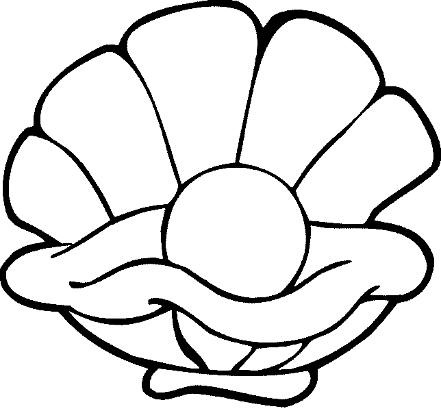 Coloriage d'un coquillage sur fond texturé