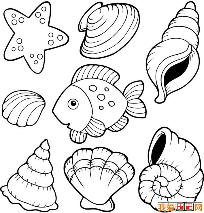 Coloriage d'un coquillage sur un fond simple