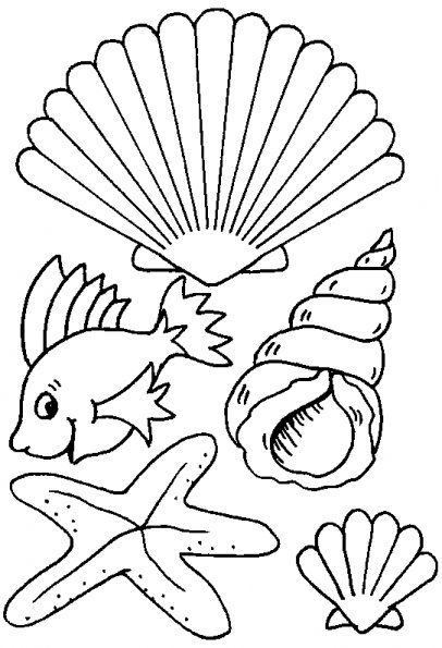 Coloriage d'un coquillage sur fond texturé
