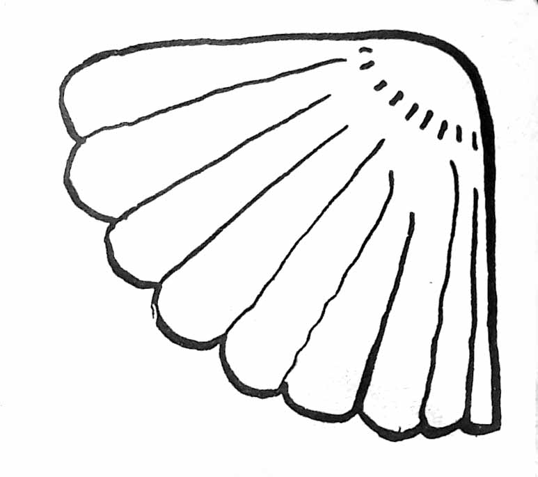 Coloriage d'un coquillage sur le sable avec des détails marins