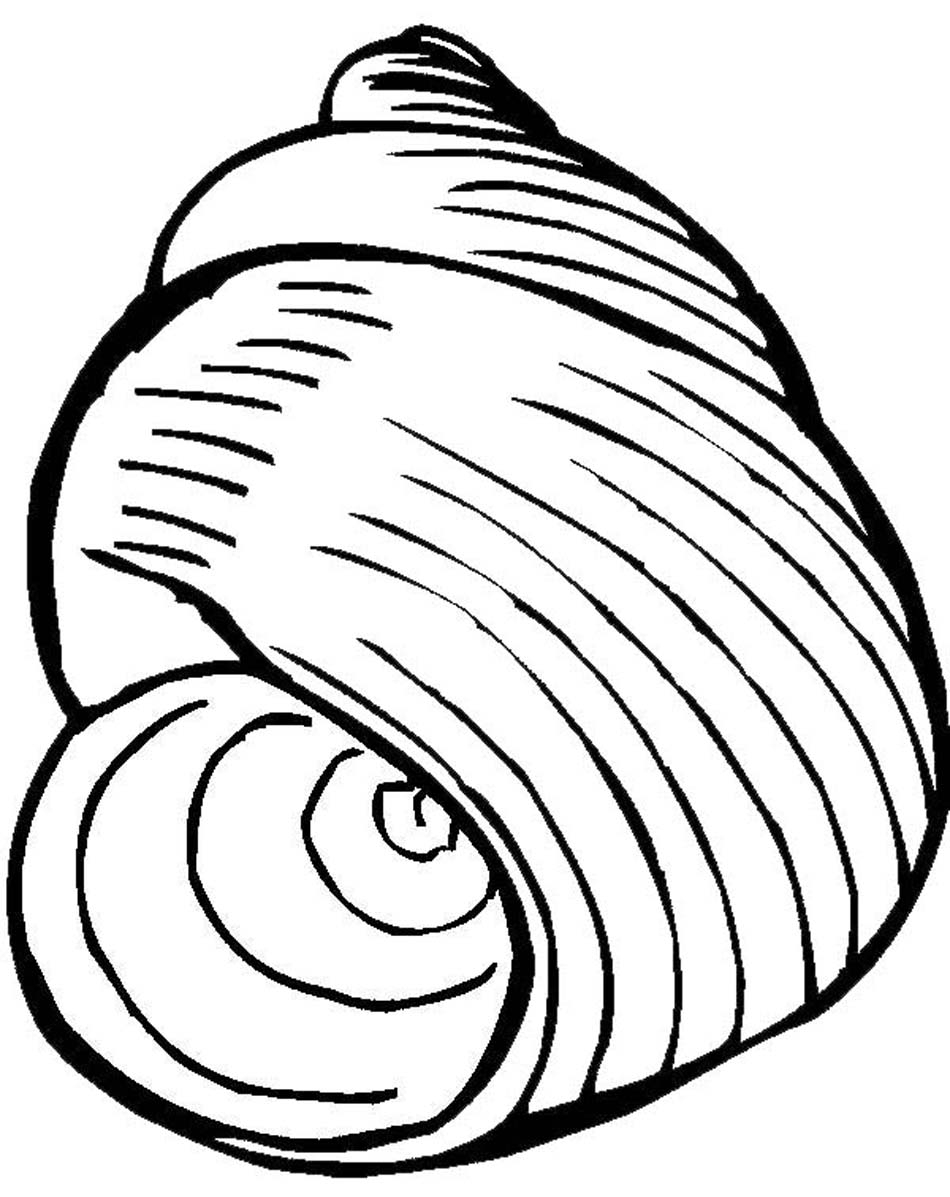 Coloriage d'un coquillage sur une plage ensoleillée