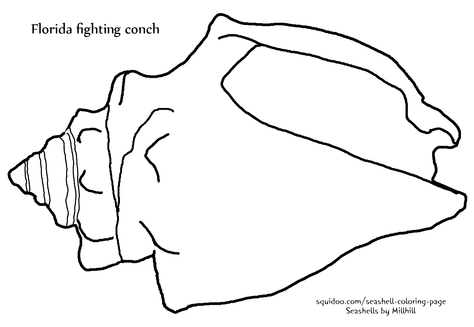 Coloriage d'un coquillage sur fond texturé