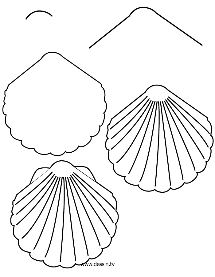 Coloriage d'un coquillage sur une plage avec détails marins