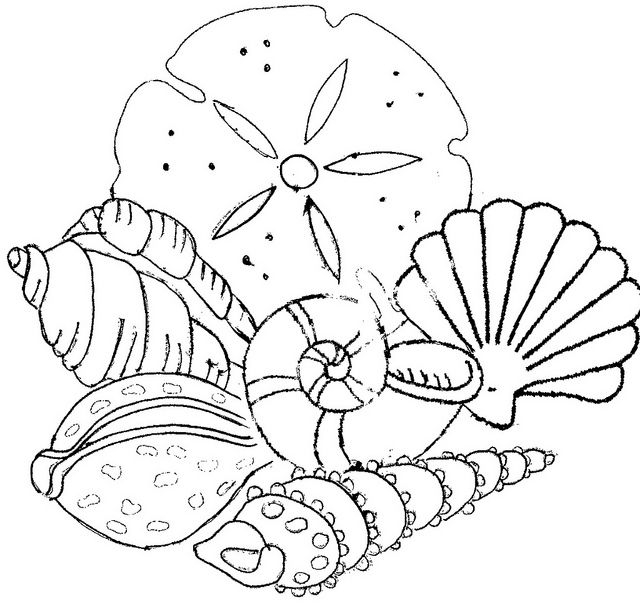Coloriage d'un coquillage sur fond marin