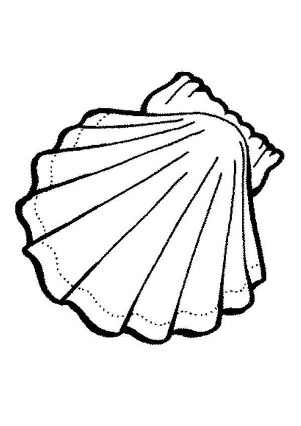 Coloriage d'un coquillage sur un fond texturé