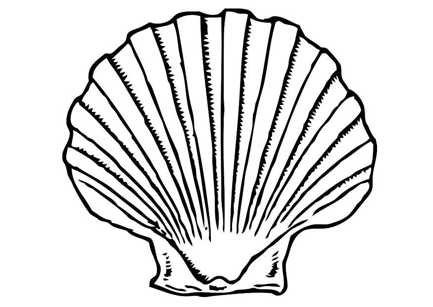 Coloriage d'un coquillage sur le sable avec des motifs détaillés
