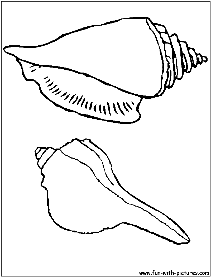 Coloriage d’un coquillage sur un fond marin